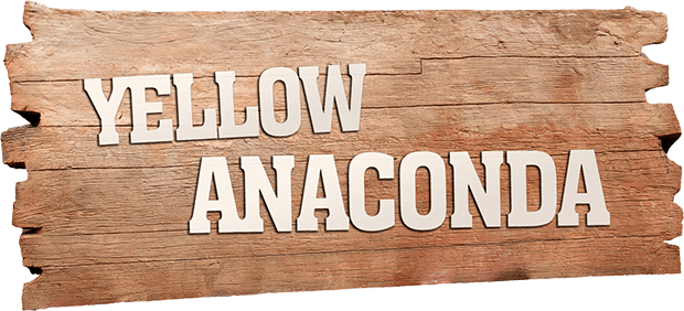 Yellow Anaconda